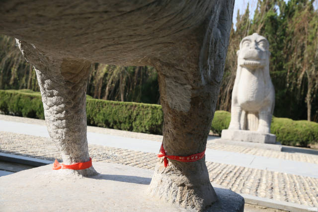 明皇陵石麒麟的左腿为何会变细?为什么偏偏是这一条?