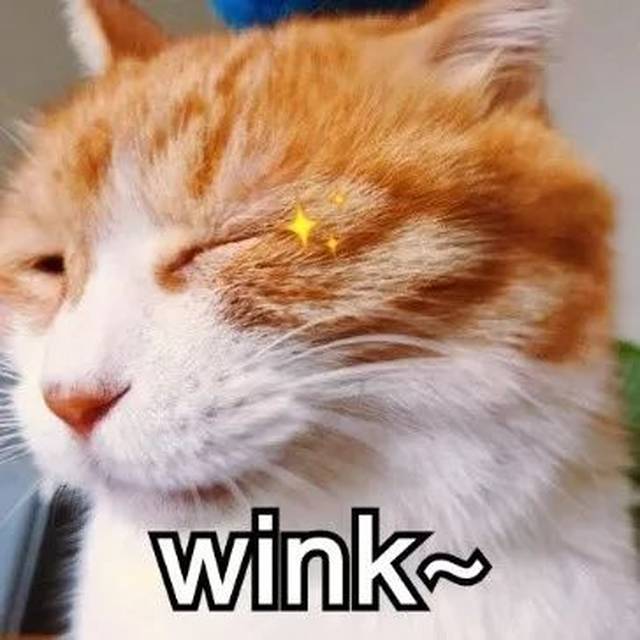 wink兼职怎么找