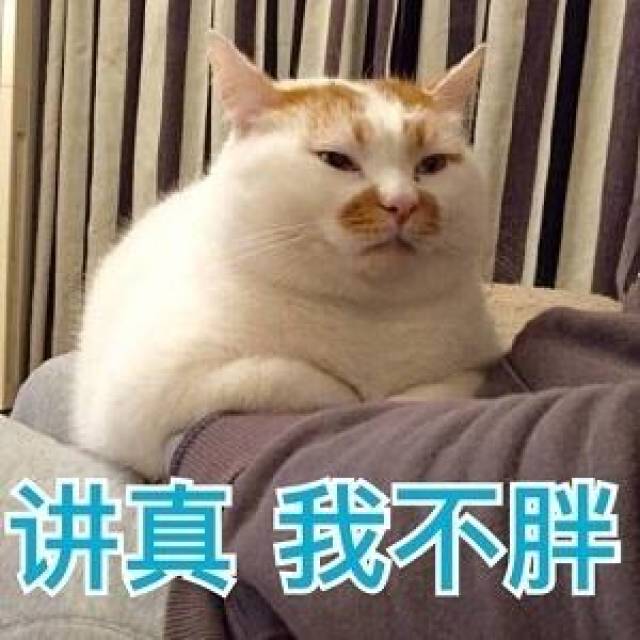 胖猫咪表情包 这不是胖