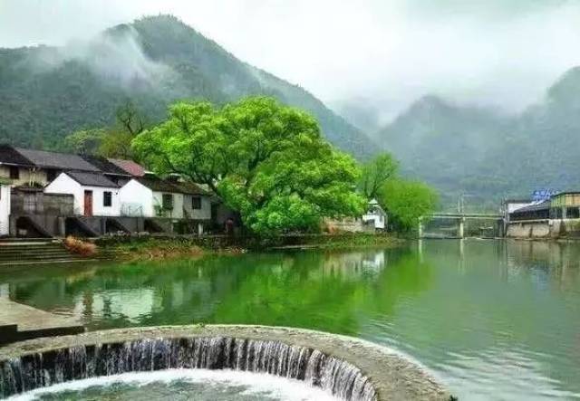 【寻觅古村】1月1日"人间凡处有仙境",走进美丽的鹿亭中村古村,裘岙