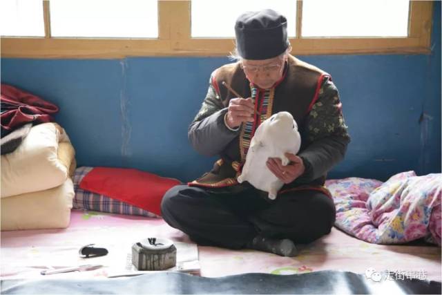 那年是猪年,胡老的老伴胡凤珍盘腿坐在炕上,左手托着一只大白猪,右手