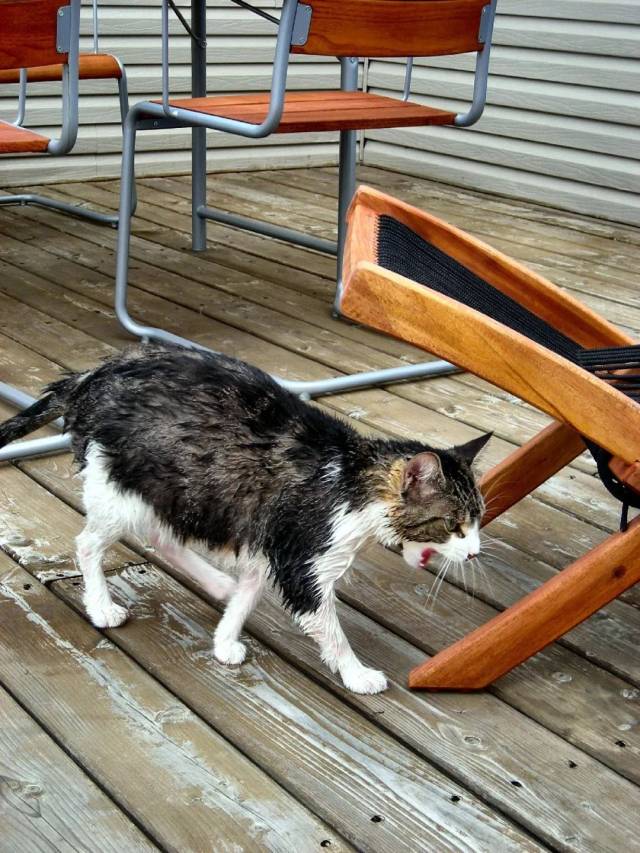 一旦失足掉入水中,会发生溺水现象,如抢救不及时,会有性命之忧.溺水