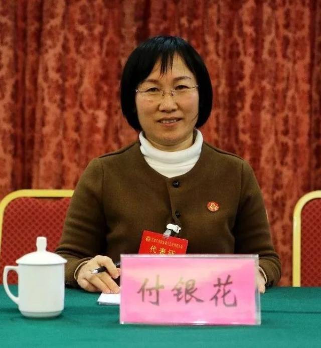 坚决跟党走,逐梦新时代——宁淑敏参加第一代表团审议