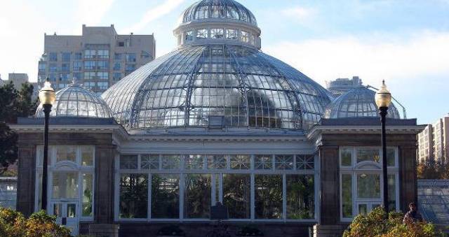 每年冬天,多伦多都会在以下两个温室花园举办"冬季花展"活动,大家走入