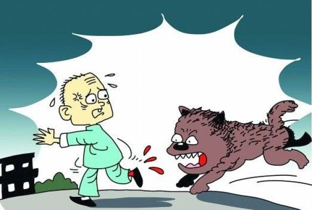 合肥小区流浪狗半小时连咬两人!2岁娃被咬得血肉模糊!