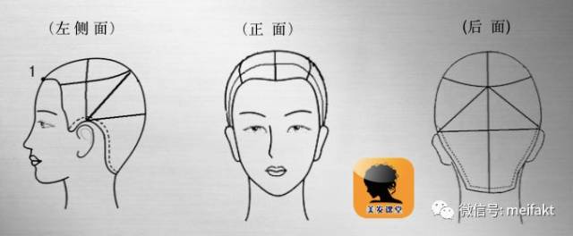 线——七条主设计线 以分区线分区,其重要性在于如何掌控头型,完美