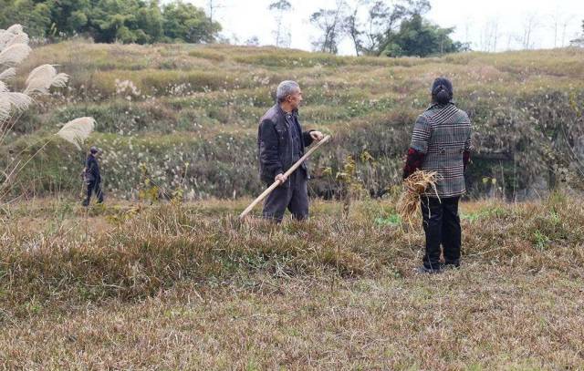 峨眉对被征地农民养老保障最新政策,有重大调整!