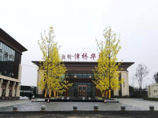 金轮津桥华府销售动态 建面约90-140㎡三房至五房销售中,明年还有新