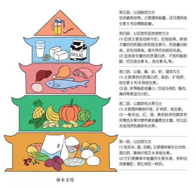 食物营养宝塔图简笔画图片