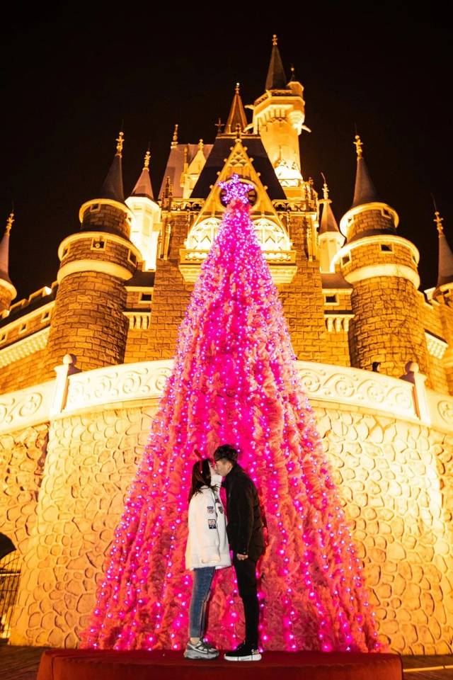 小姐姐们在天鹅堡打卡的照片 粉色的kiss tree前 用爱点亮圣诞树 全然