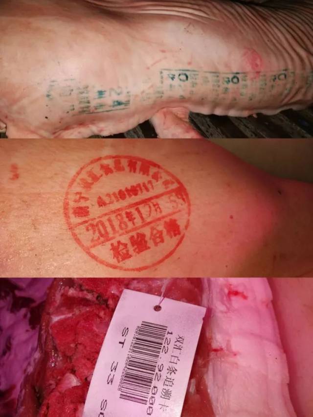 猪身上的检疫印章图片图片