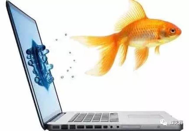 2,都市报人才流失严重,队伍不稳定