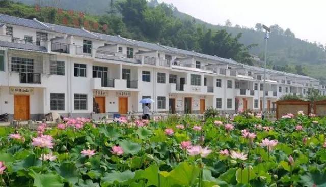 拆除空心房后重建的水岩乡古田村民居
