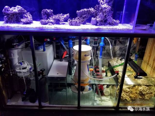 动手能力超强的长沙海缸客户