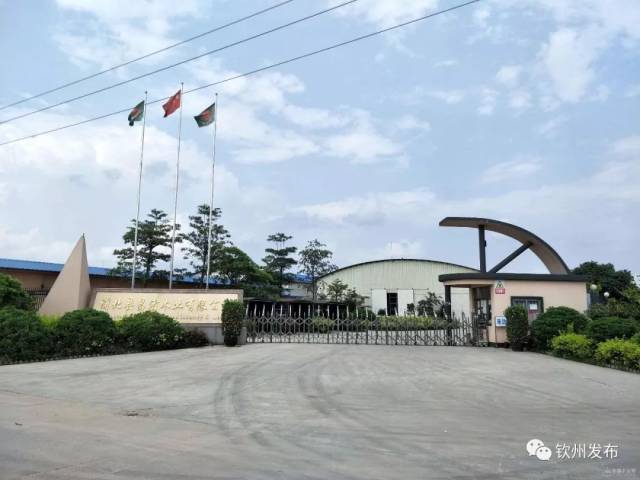 胶合板行业的最新动态与发展前景