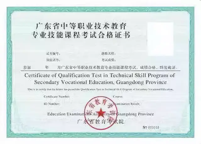 中专升本科助力梦想腾飞：教育行业动态概述
