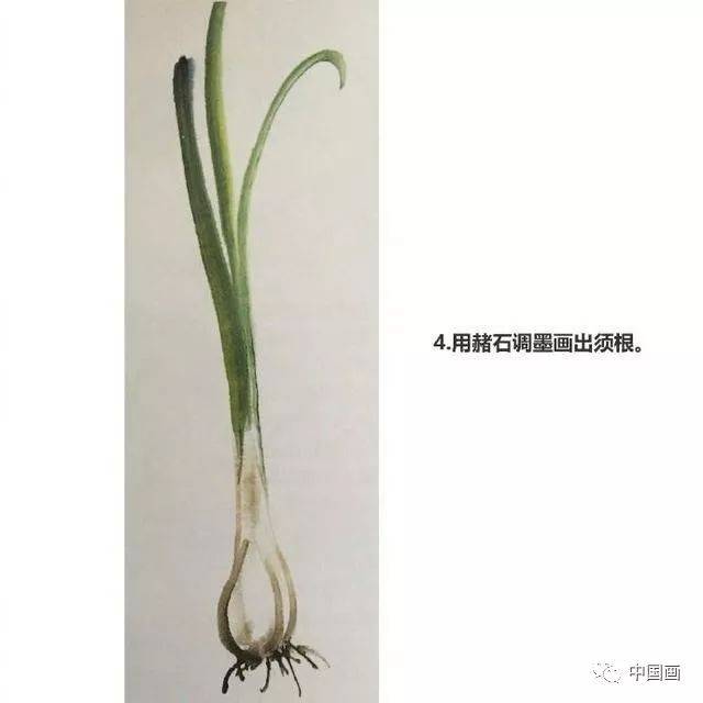 国画入门教程:百合,大蒜的画法讲解!