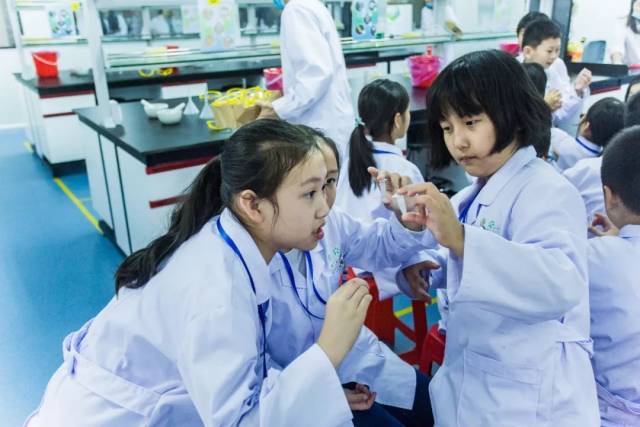 召集中】少儿生存挑战| 早上挣午餐费,下午走进南科大做基因提取实验!