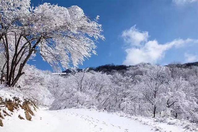 满山遍野玉树琼花,树枝上的冰挂晶莹剔透,绘就冬日画境,美不胜收.