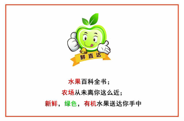 家庭农场：农村经济发展的新活力