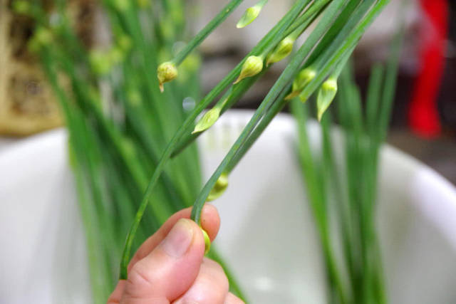 韭菜花头部的花苞是口感较特殊的部位但容易有农药残留建议还是掐掉