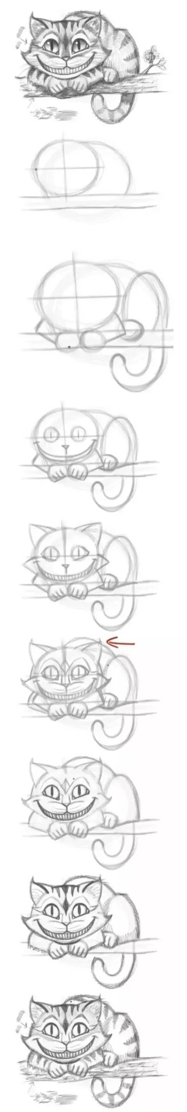 爱丽丝的猫简笔画图片