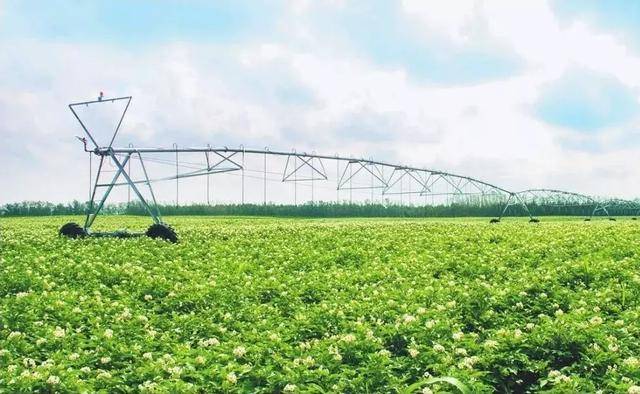 新农业是未来农业发展的趋势!(附3大模式)