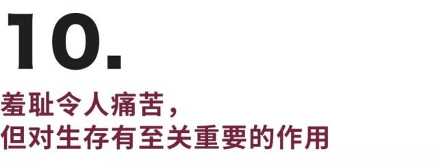男性认为性最能解决矛盾，女性则认为是情感沟通