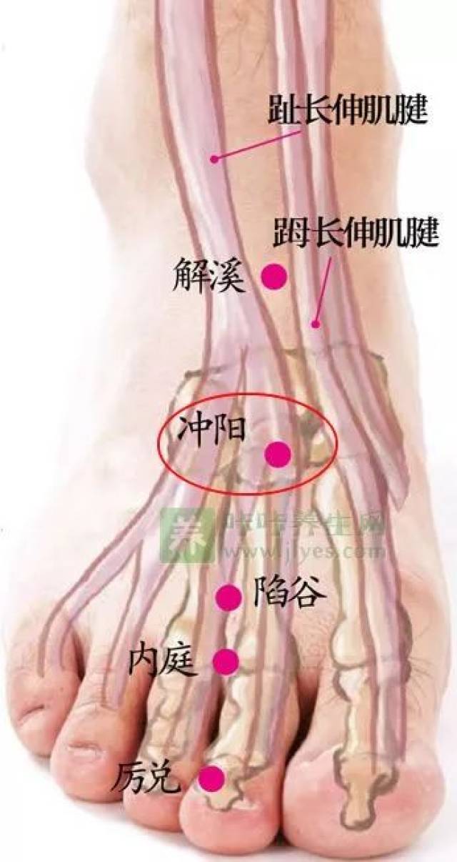 冲阳准确位置图和功效图片