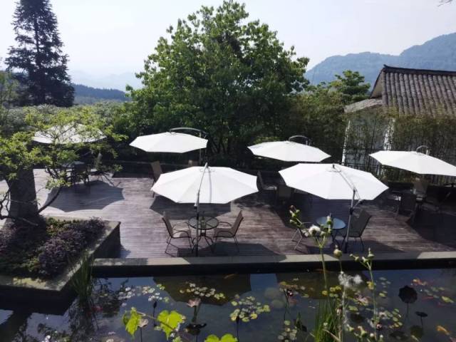 天台山-山茶花 景区提供的特色酒店 推门见山,依窗望月 晴天可以在
