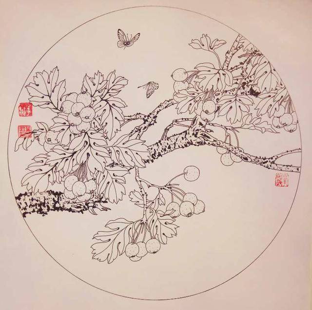 18,叶志军的钢笔画第八百一十六幅—山楂(硬笔花卉白描习作)