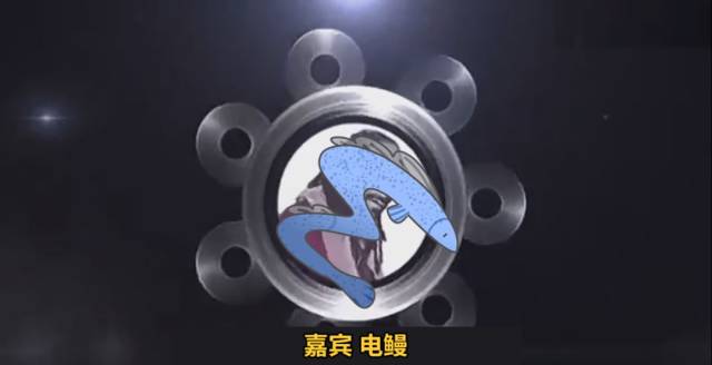 "电鳗""两开花"槽点这么多,是时候上吐槽大会了吧?