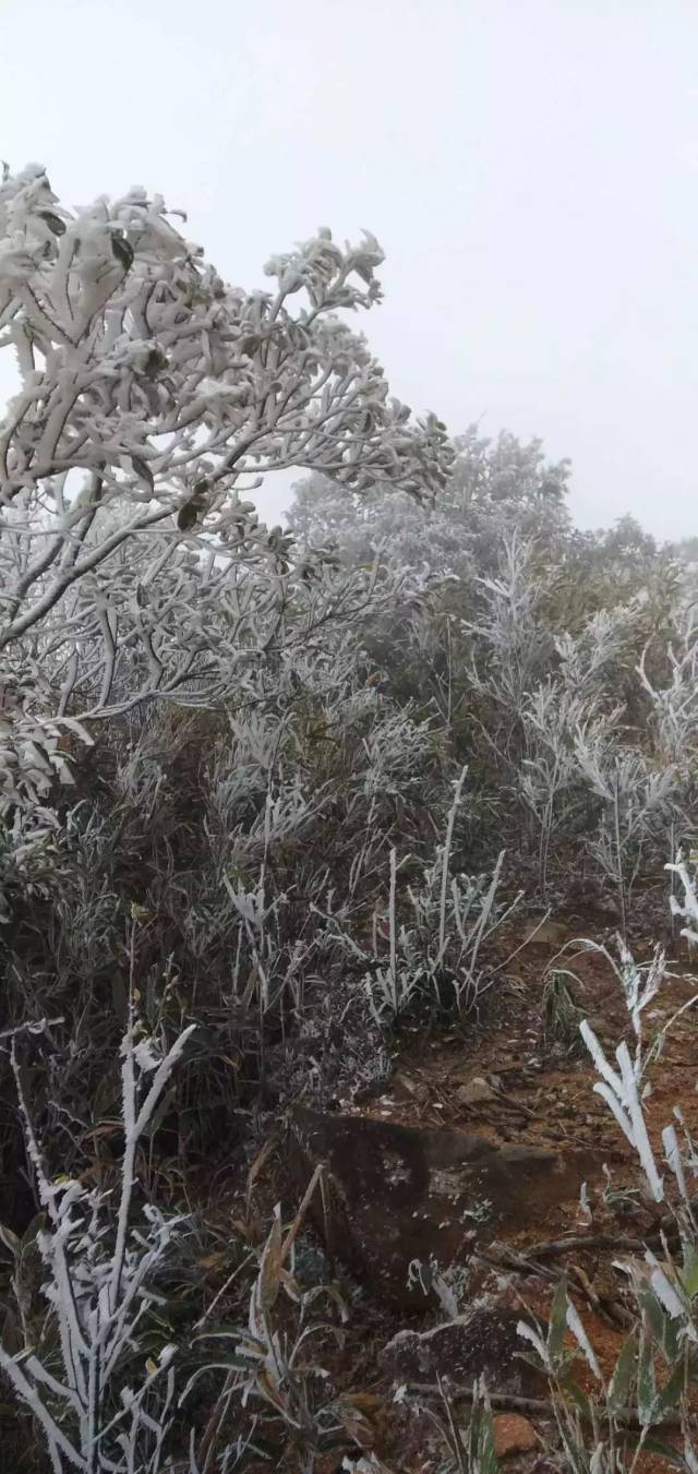 清远大雪图片