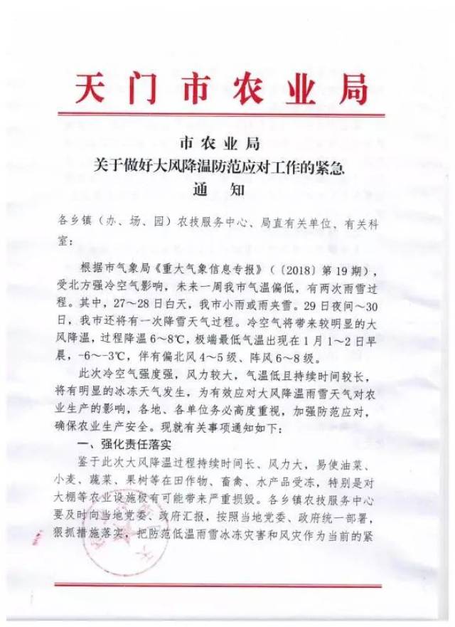 求职者之选:天门招聘网如何助力就业?