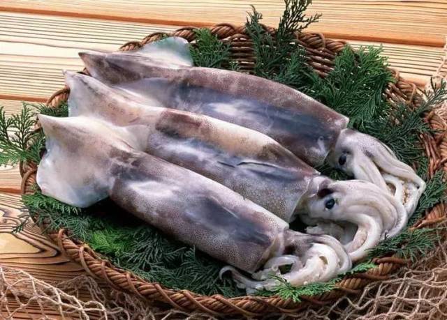 两个月艰难的摸索,终于让李科平在9月下旬见到了北太平洋的第一批鱿鱼