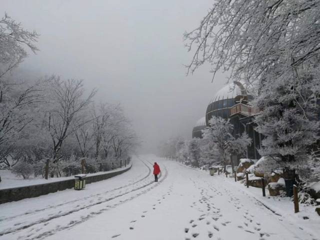 让所有人都很激动 一时间,贵阳,遵义,安顺,毕节 贵州各地都在晒雪景照