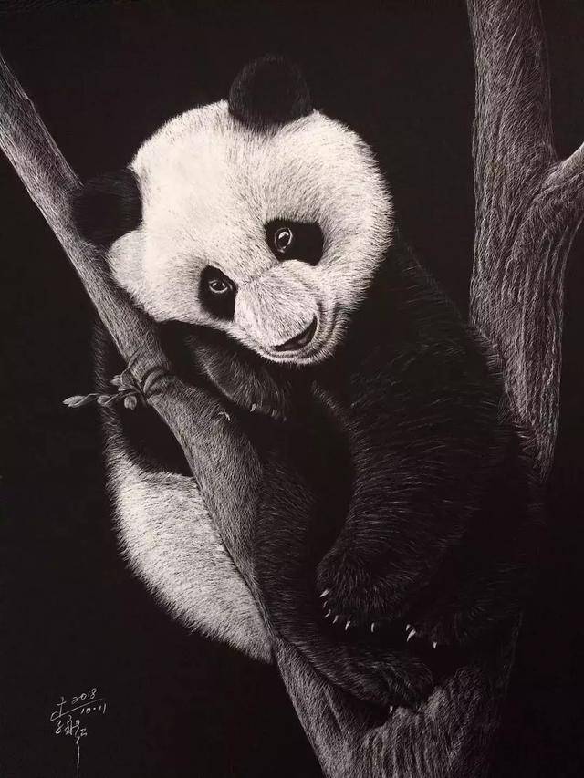 一张纯黑色画纸,简单刮一刮,绚丽的画作就出现了