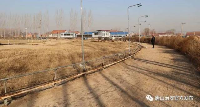白官屯水果批发：水果之都的新活力
