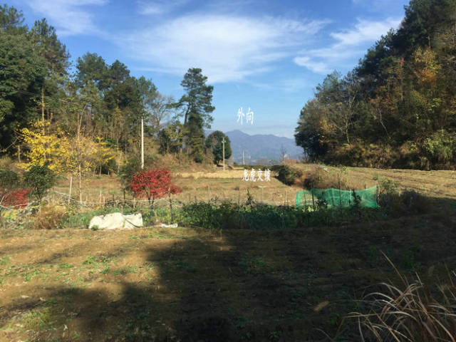 安徽高山之巔也能結風水寶地王君植風水大師帶弟子實戰看風水龍吐珠形