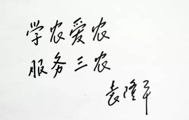 杂交水稻研究的开创者 袁隆平 2018福布斯中国首富十大排行榜