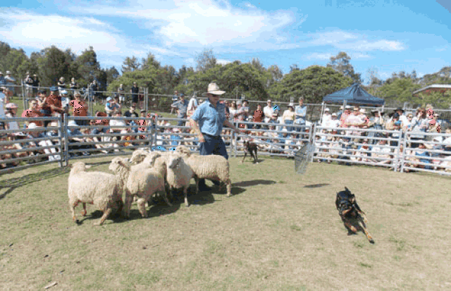 500_323gif 动态图 动图