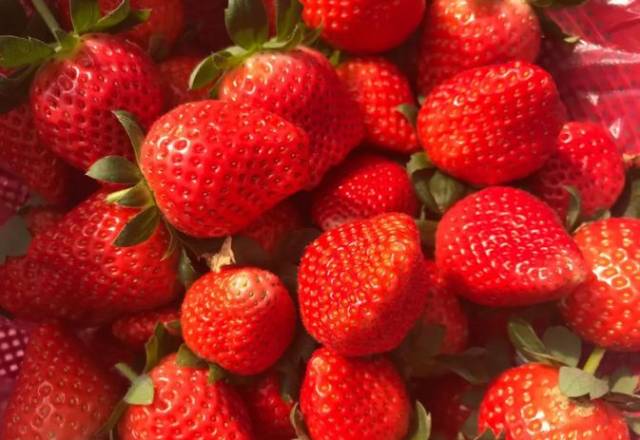 大圩草莓熟了!等你共享"莓"好时光