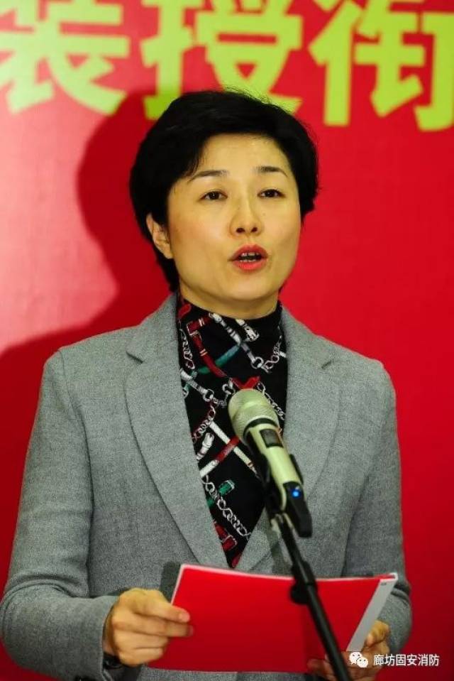 孙丽娜 固安县长图片图片