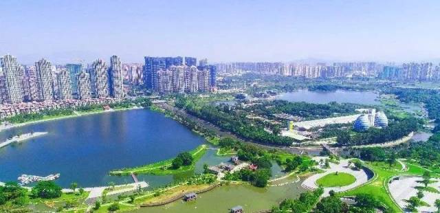 碧湖生态公园一片生机盎然 沈鹏昊/摄