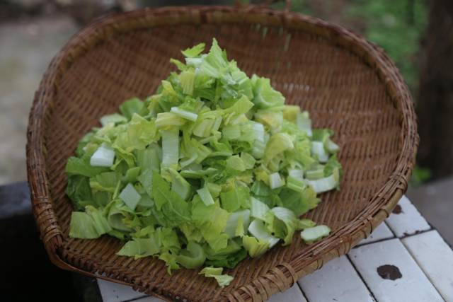 有一种"芥末菜"刺鼻好吃,看了我拍的图,你就会做了