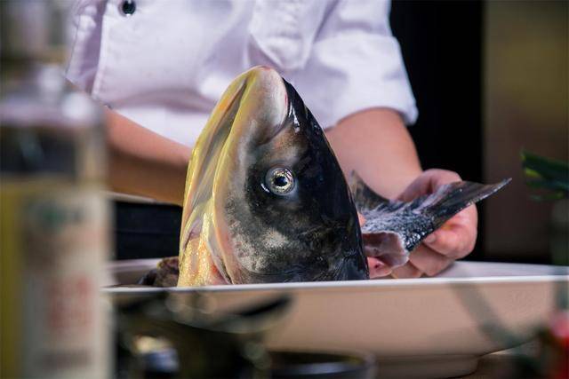 一家网红鱼头店的诞生