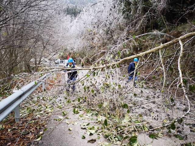 他们遇山开路,遇阻清路 把被冰花压弯的横跨树木清除完毕