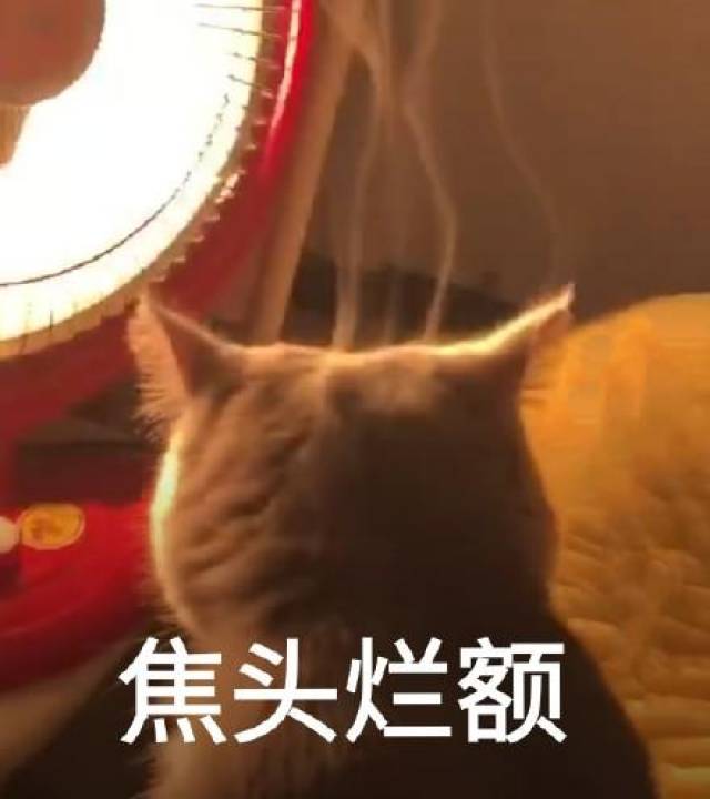 焦头烂额