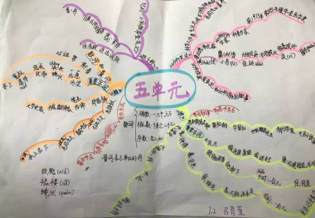风采丨银鹰文昌中学2018级2班部编版七上语文第五单元思维导图精选
