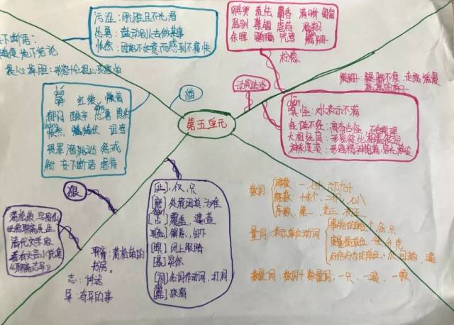 风采丨银鹰文昌中学2018级2班部编版七上语文第五单元思维导图精选